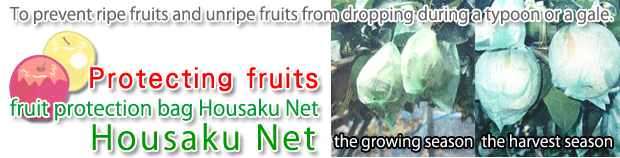 Housaku Net was developed to prevent fruits from dropping by a tyhoon or a gale.